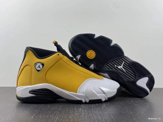 487471-701 Jordan Ginger  Retro 14 Light 0426